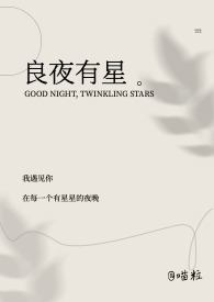 良夜by蒸馏朗姆酒全文免费阅读